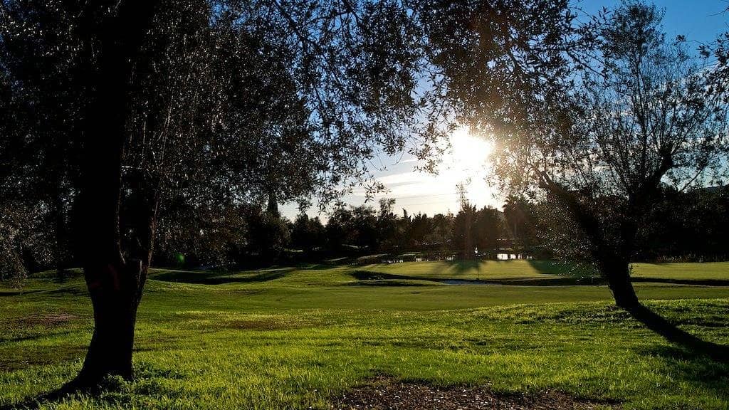 Elegant Clubhouse Dining