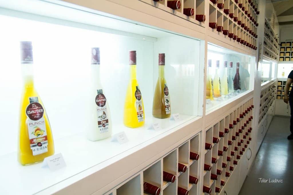 Sugar Cane Cultivation