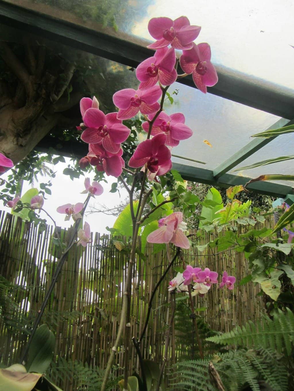 Vertical photo