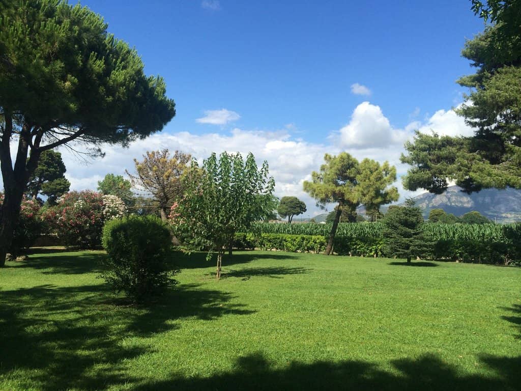 Serene Garden Dining