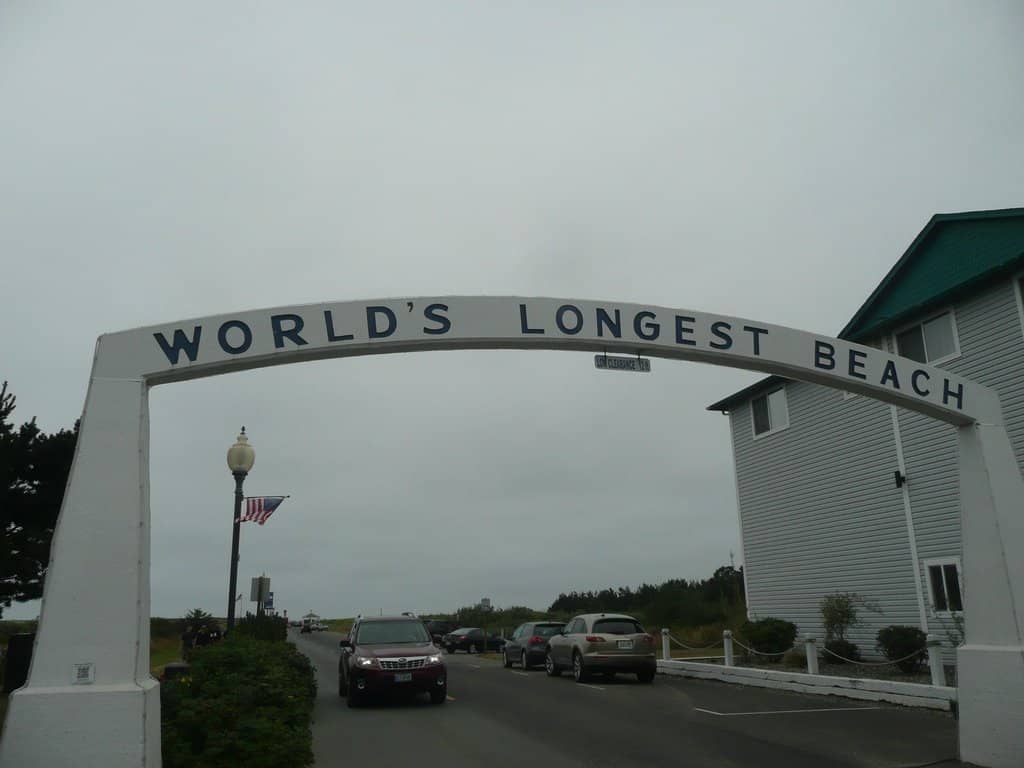 Gray Whale Sculptures & Bones