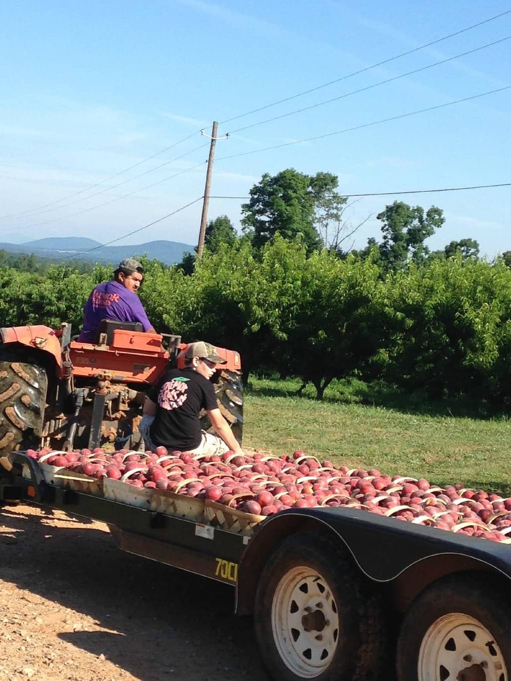 Family-Friendly Activities