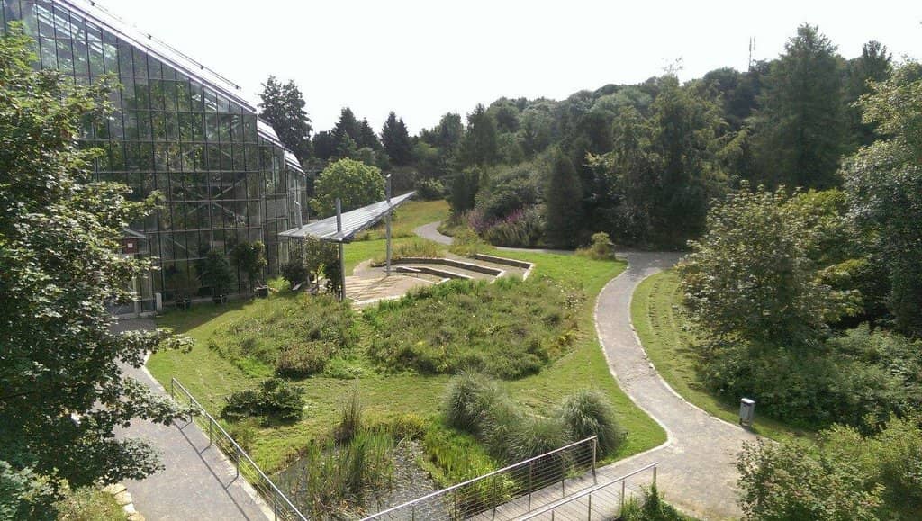 Tropical Glasshouse
