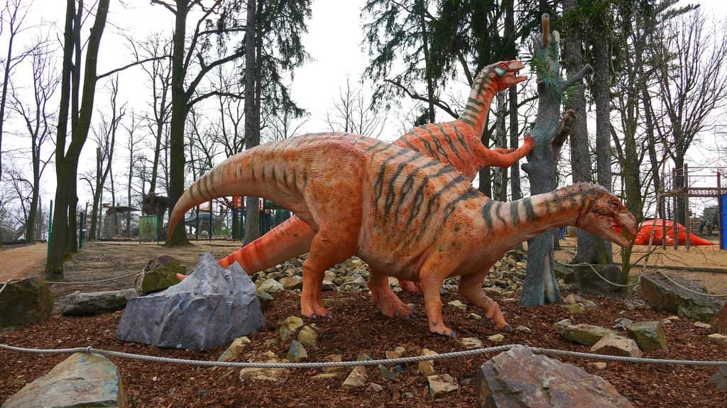 Playground Fun