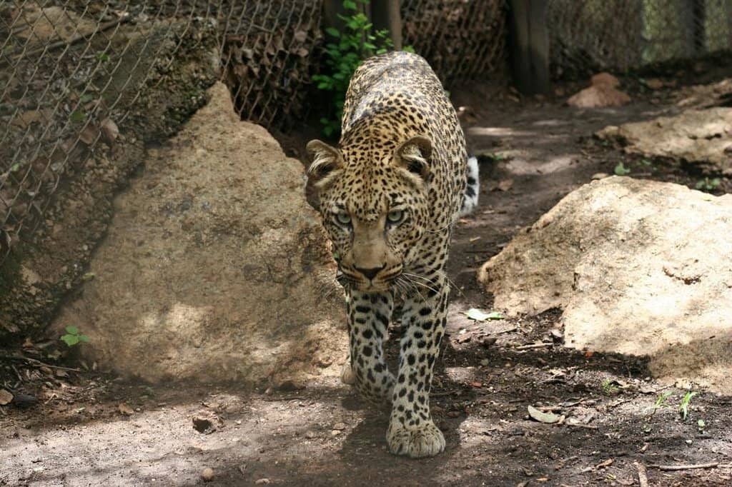 Dedicated Staff and Founders