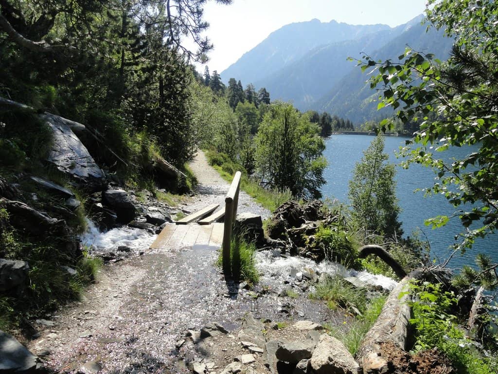 Vertical photo