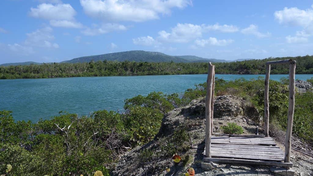 Informative Guided Hikes