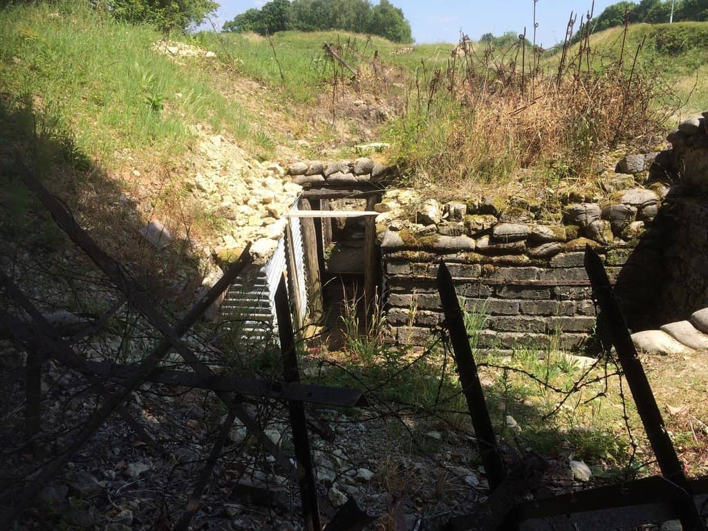 Vertical photo