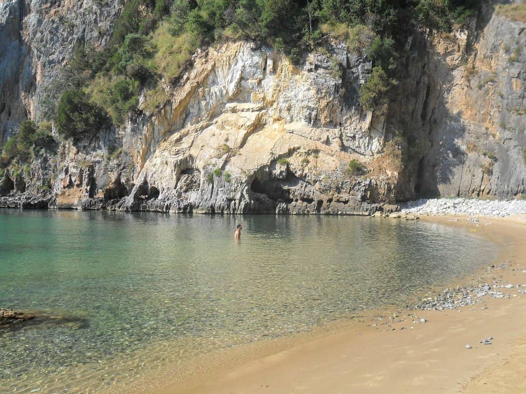 Vertical photo