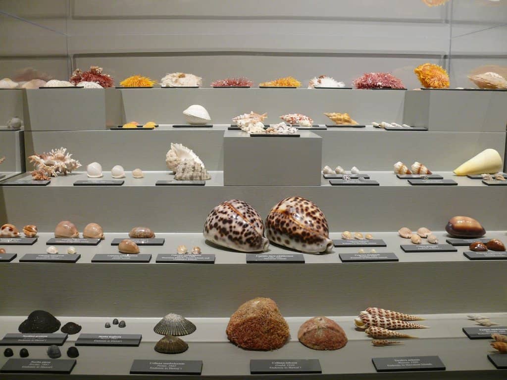 World-Class Mineral Collection