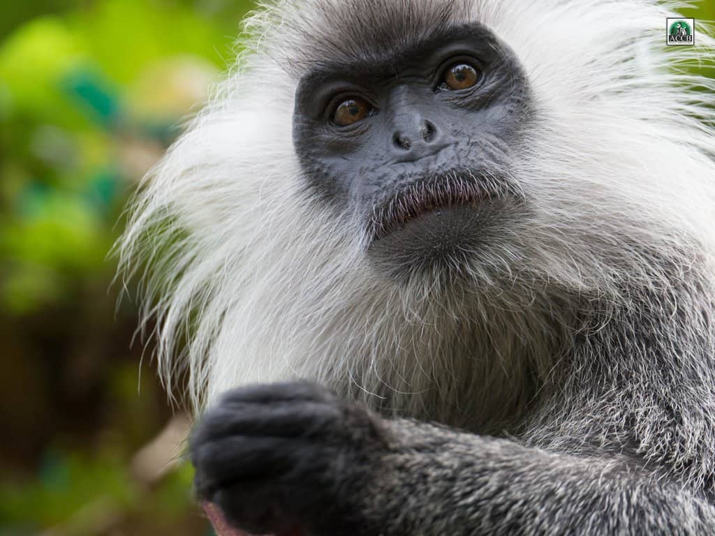 Conservation Education