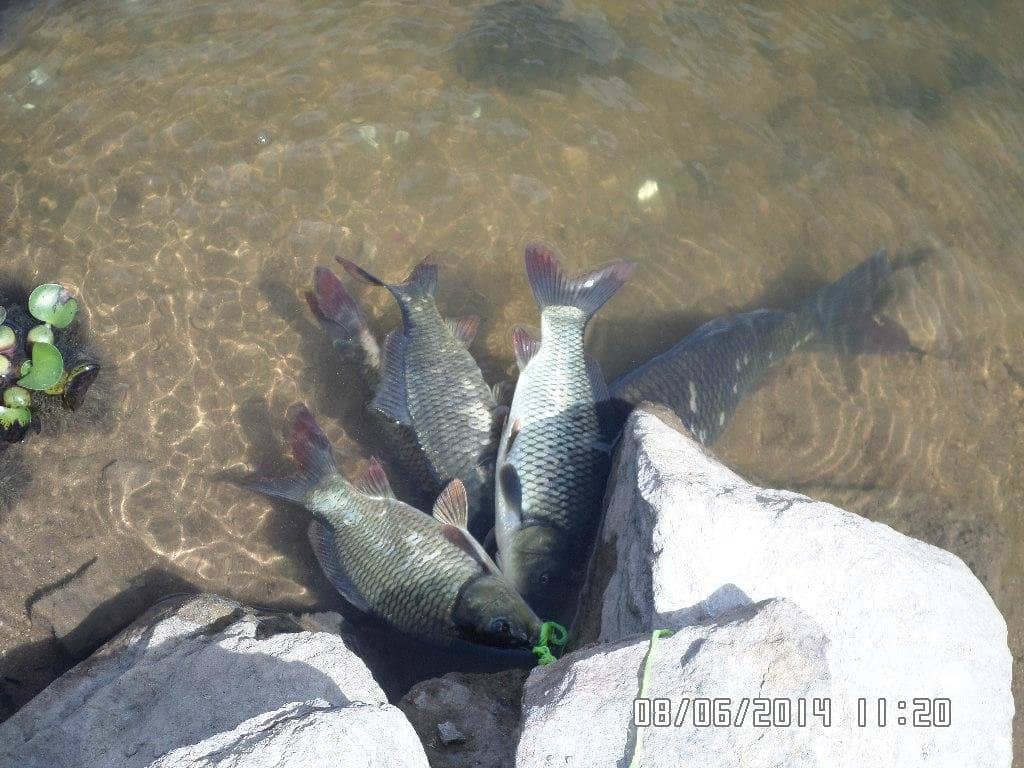 Abandoned Structures