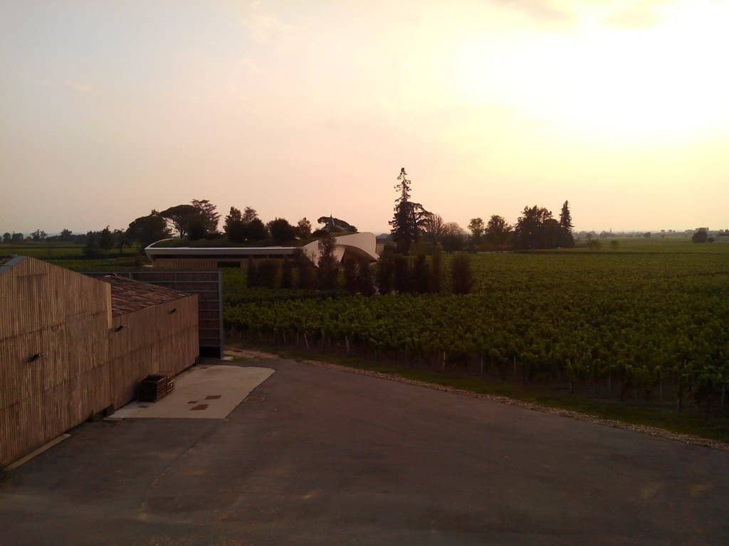 Wine Tasting Experience