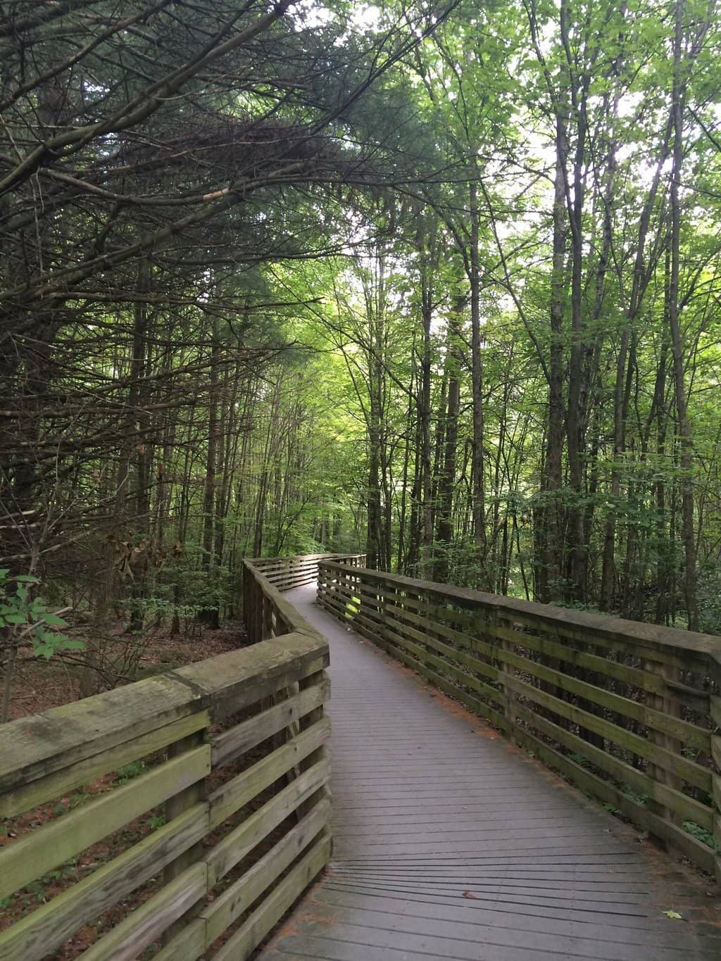 Wildlife Observation Center Boardwalk