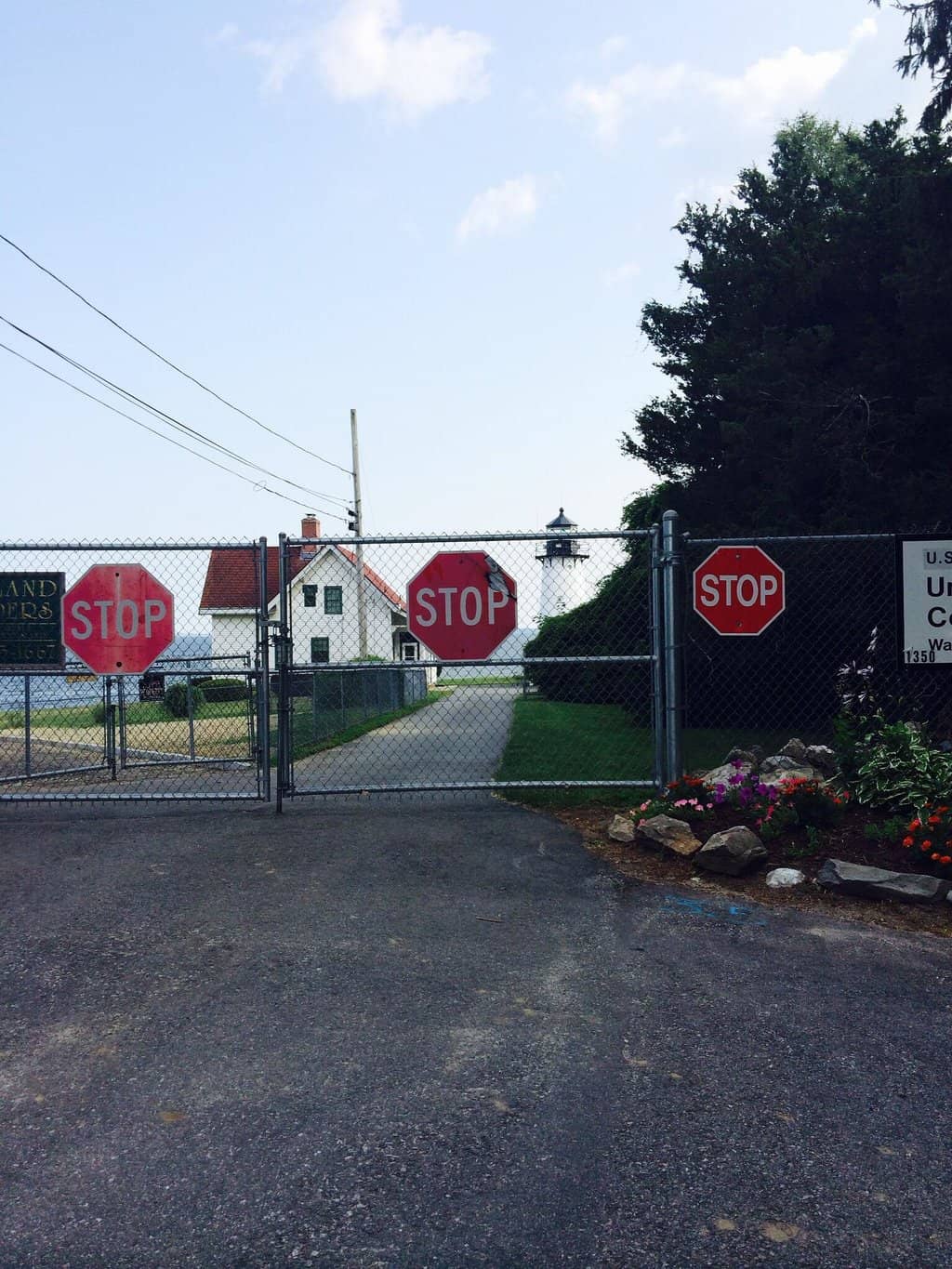 Sandy Neck Beach Dunes
