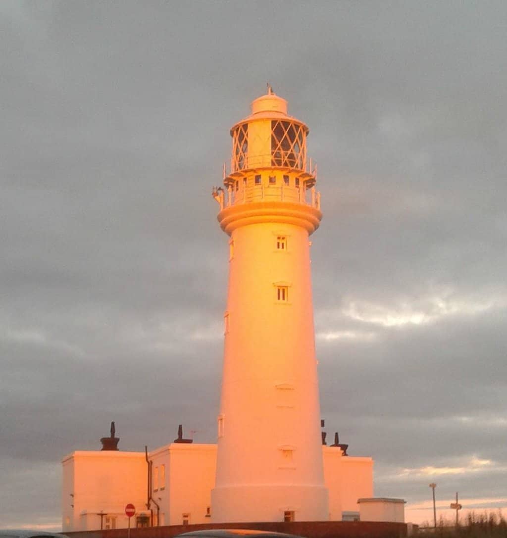 Seal Spotting at Selwicks Bay