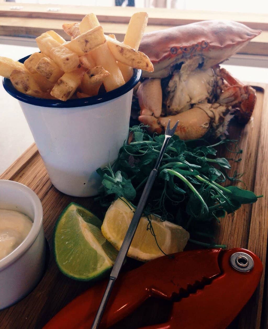 Dog-Friendly Atmosphere