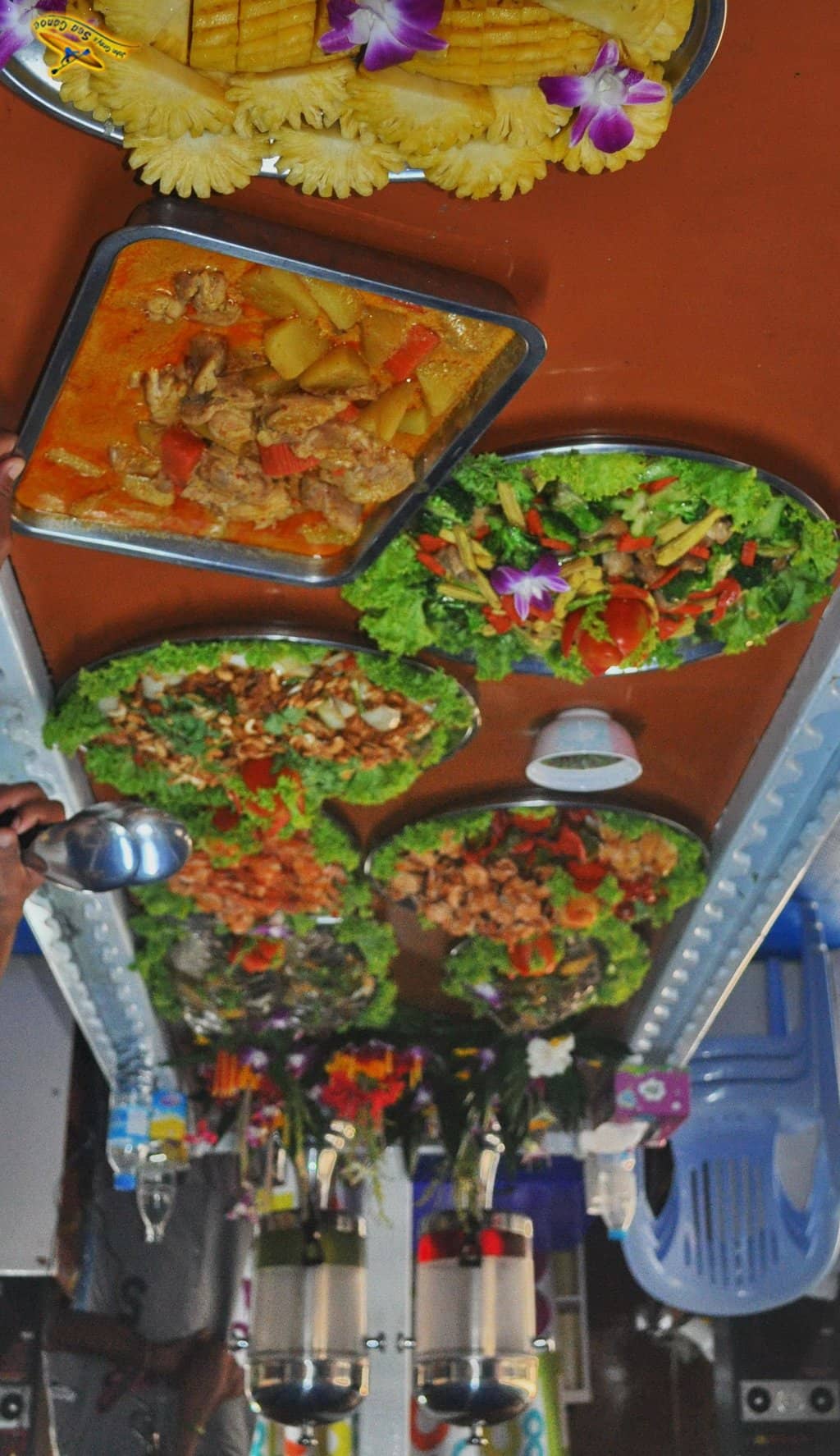 Bioluminescent Plankton