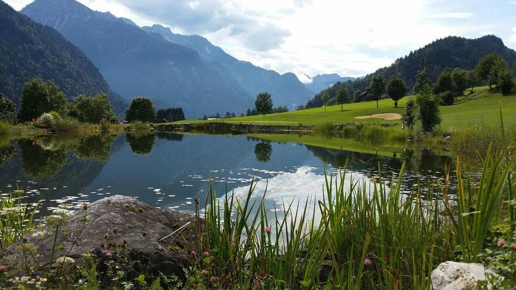 Welcoming Terrace Dining