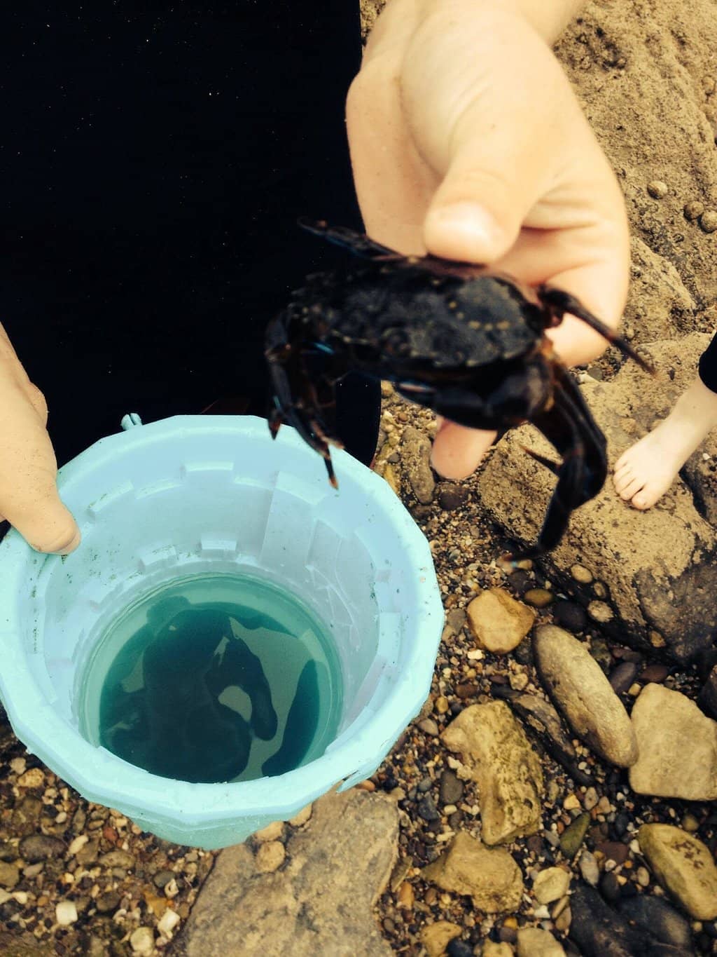 Coastal Views and Activities