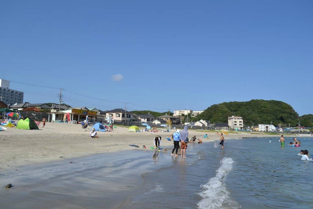 Adjacent Ecological Preserve