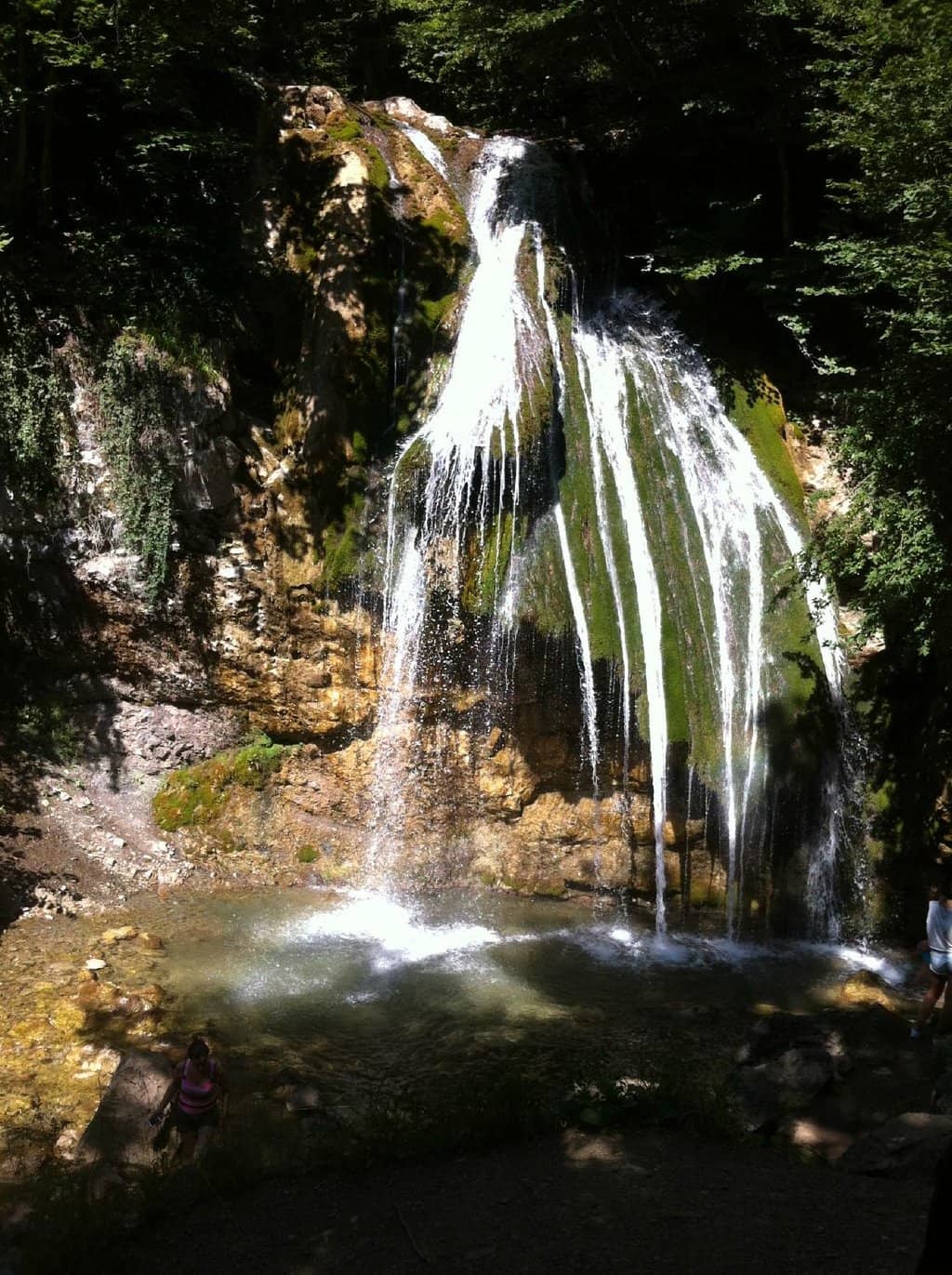 Vertical photo