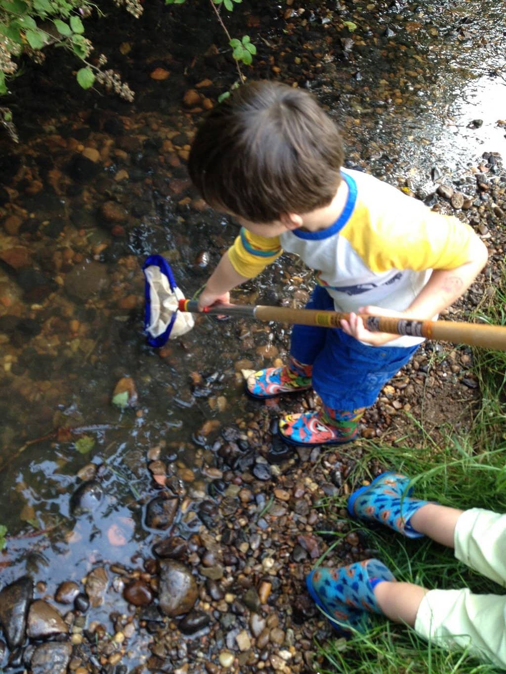 Woodgate Valley Urban Farm
