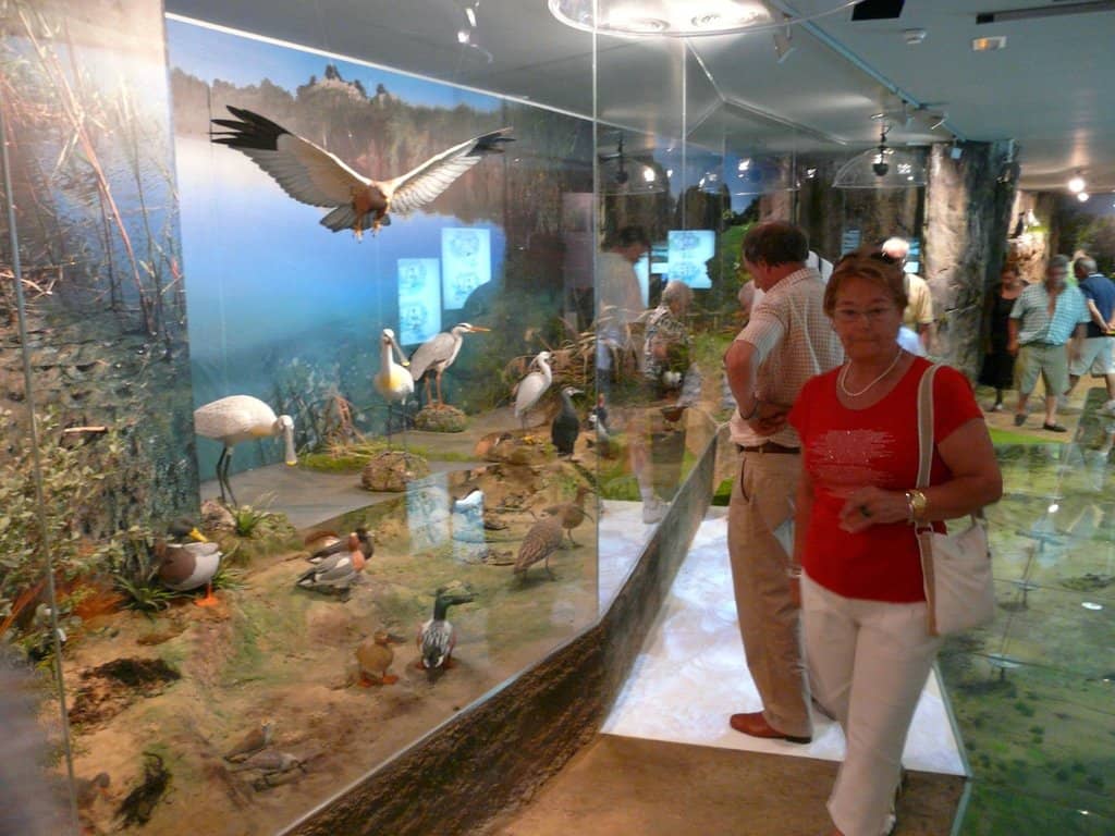 Educational Exhibits