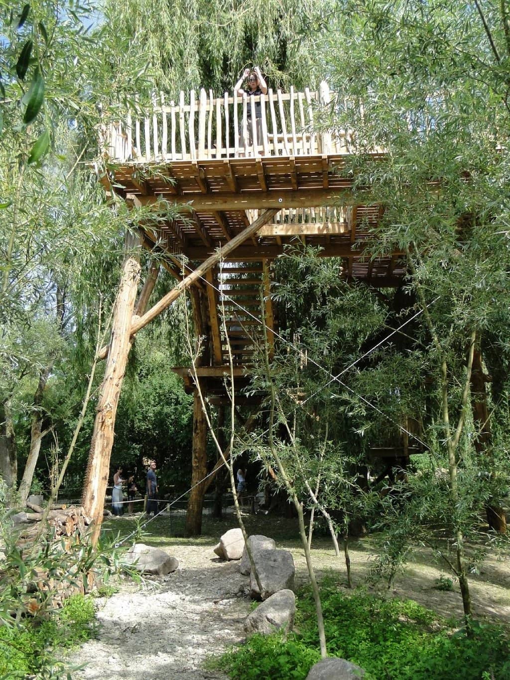 Stork Sanctuary