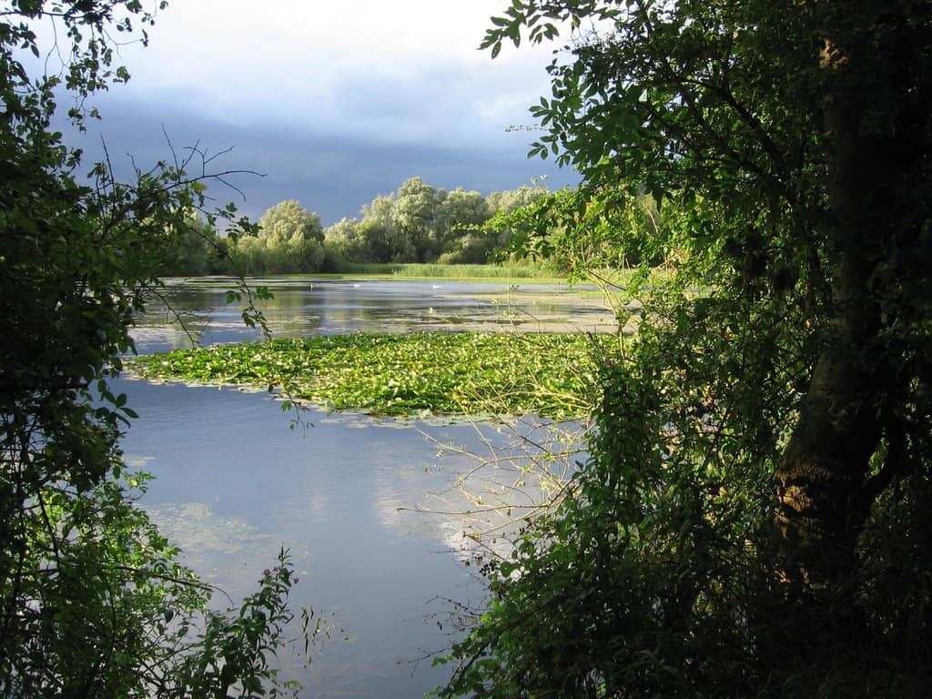 River Ouse Walk