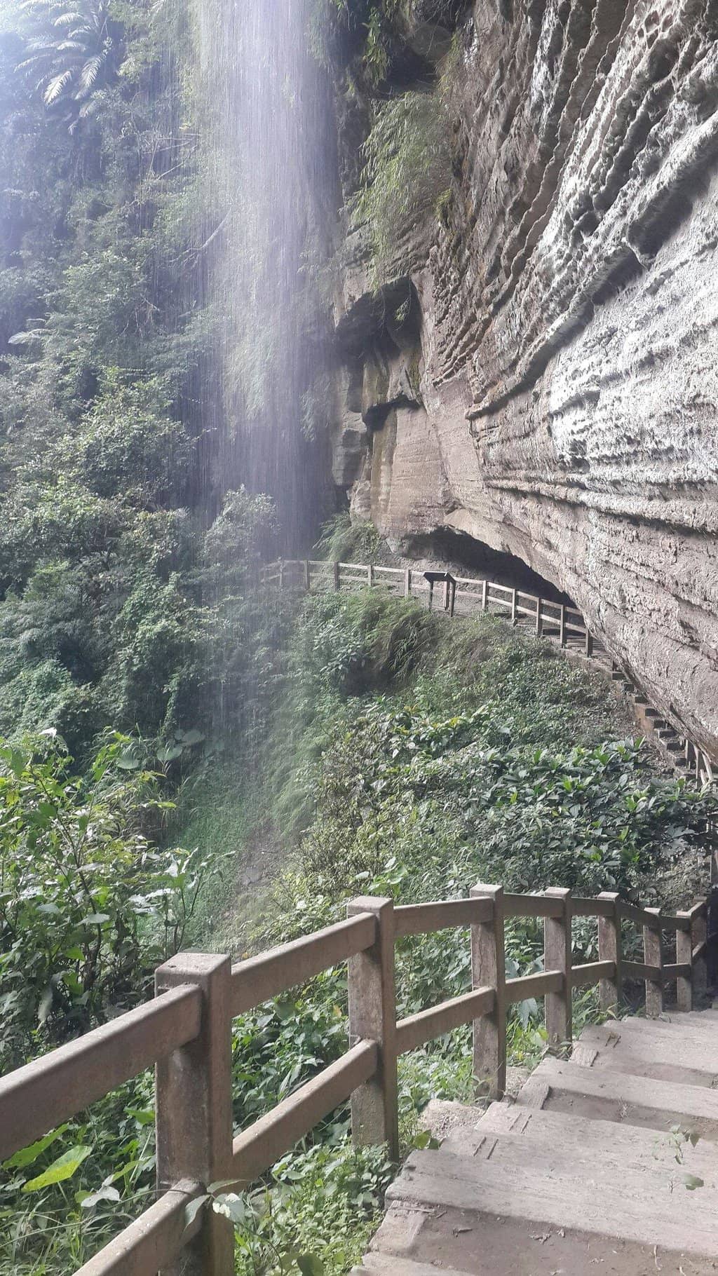 Vertical photo