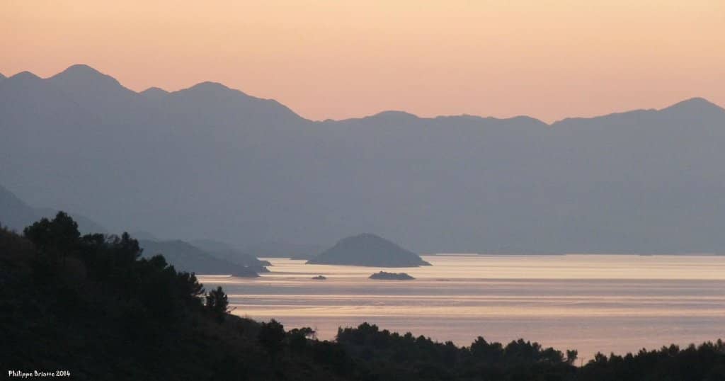 Birdwatching Paradise