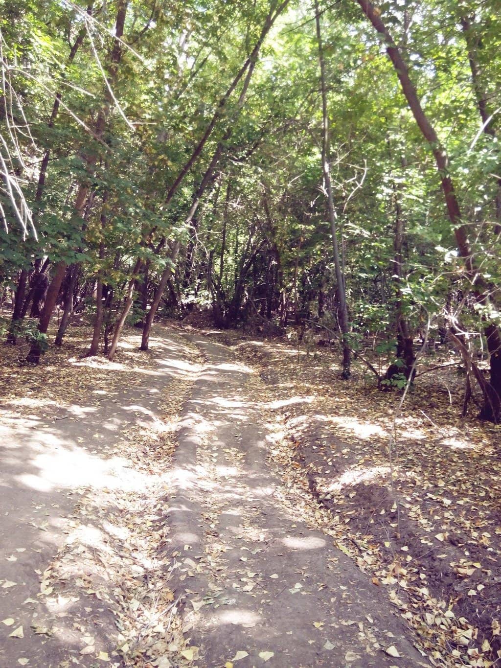 Picturesque Creeks and Lakes