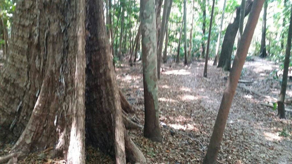 Scenic Darwin City Views