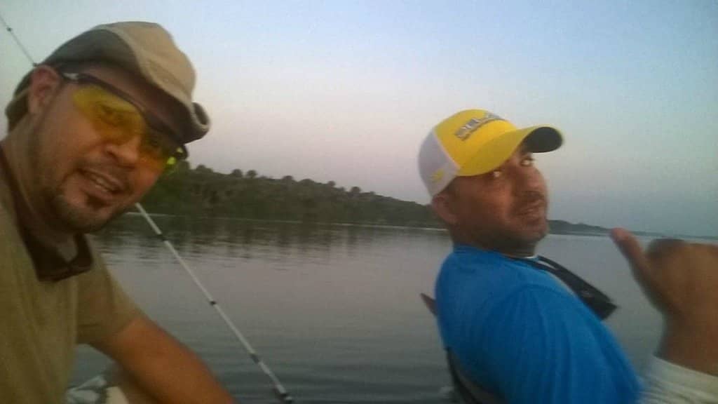 Bioluminescent Nights