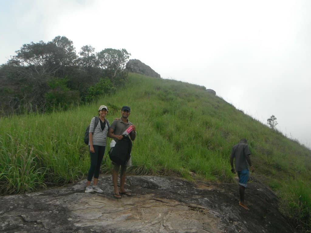 The Summit Views