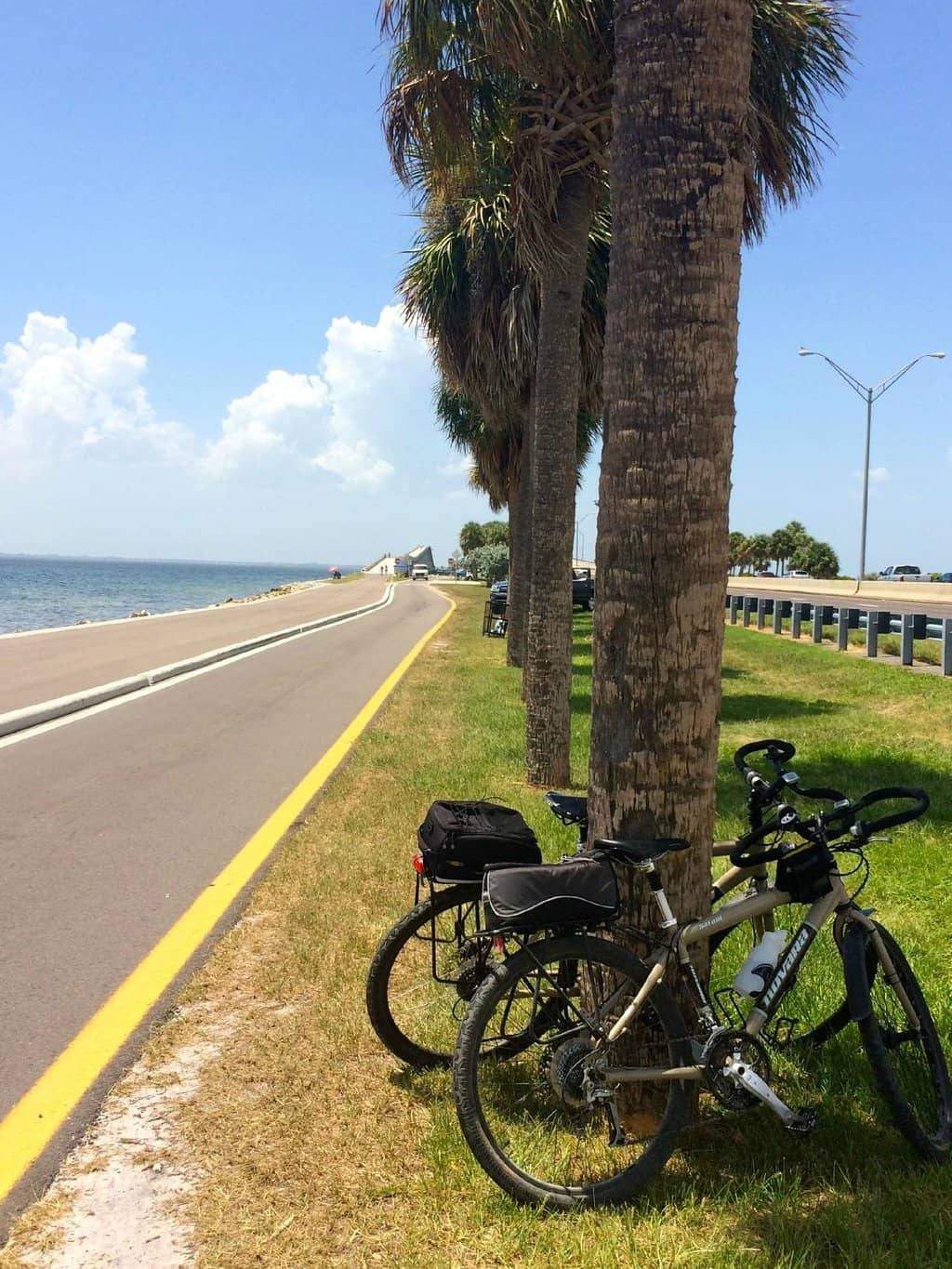 Dedicated Bike Bridges