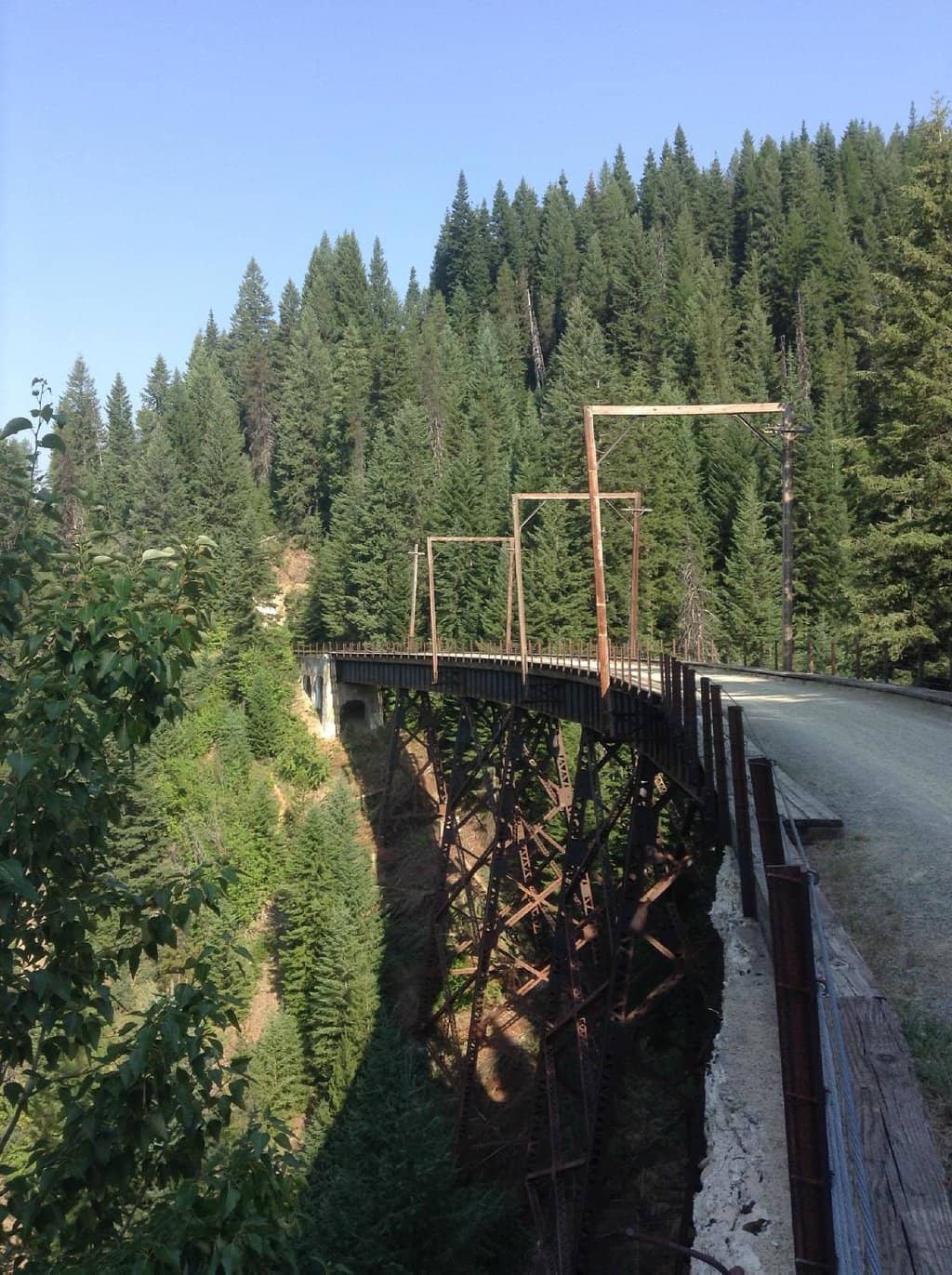The Downhill Cruise