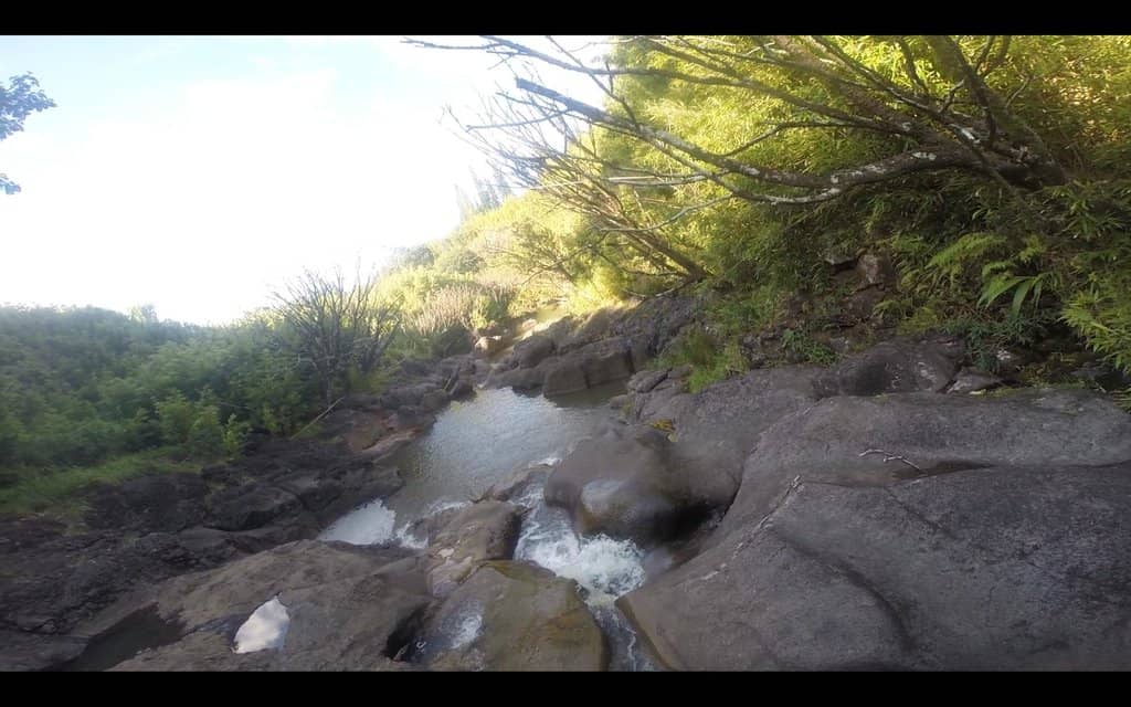 Picnic Spots