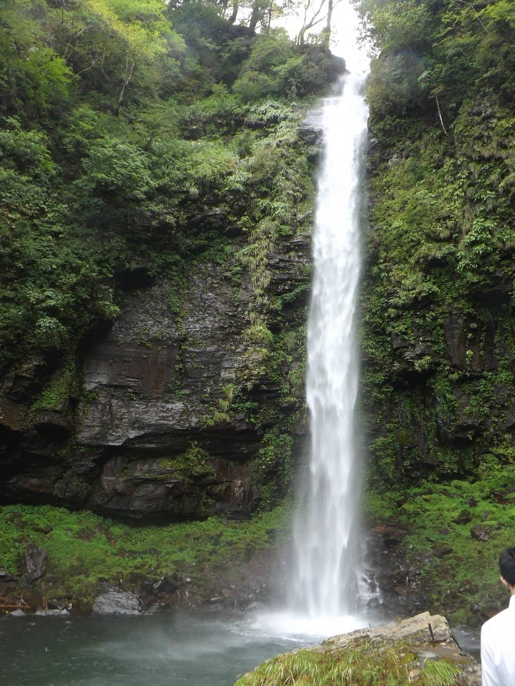 Frozen Winter Wonderland