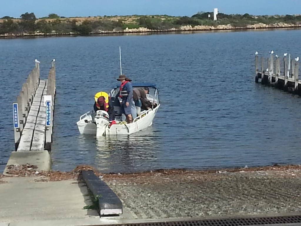 Coastal Walks & Birdwatching
