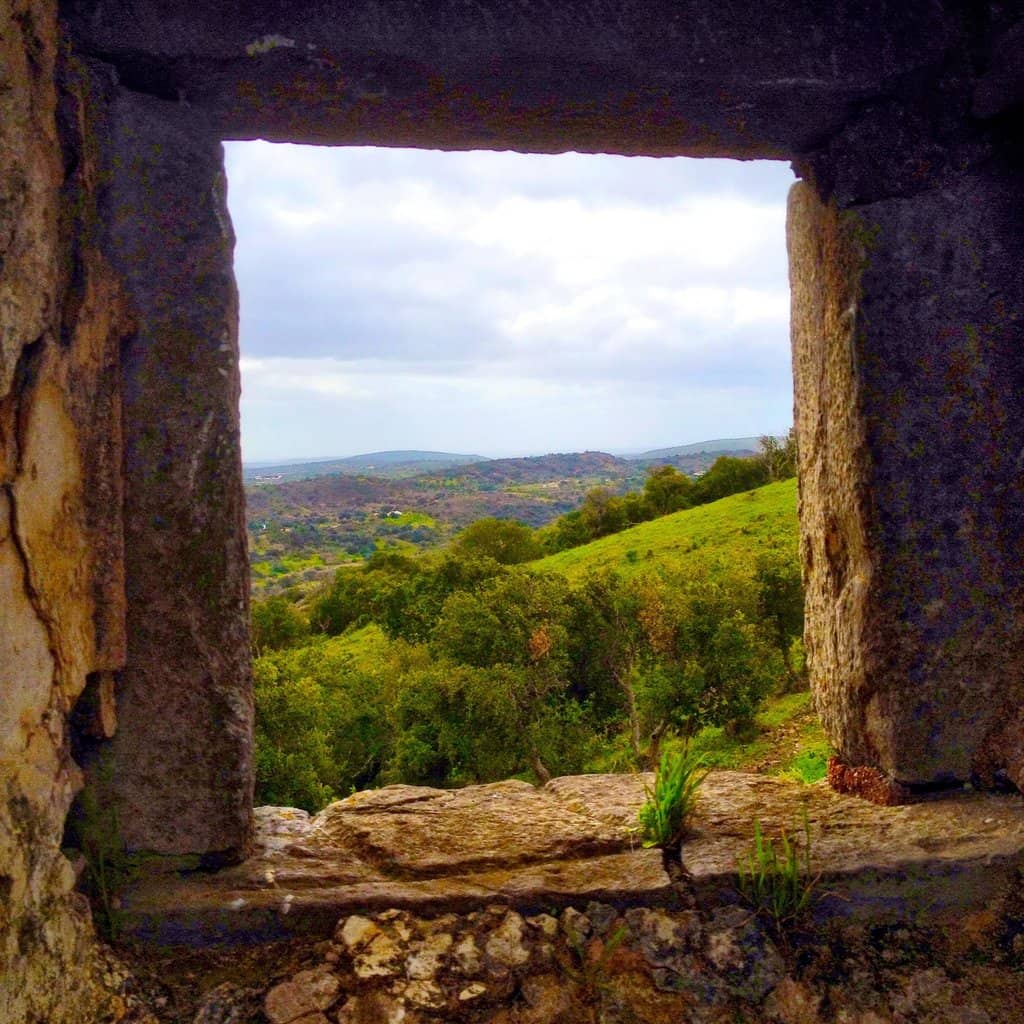 Southern Viewpoint
