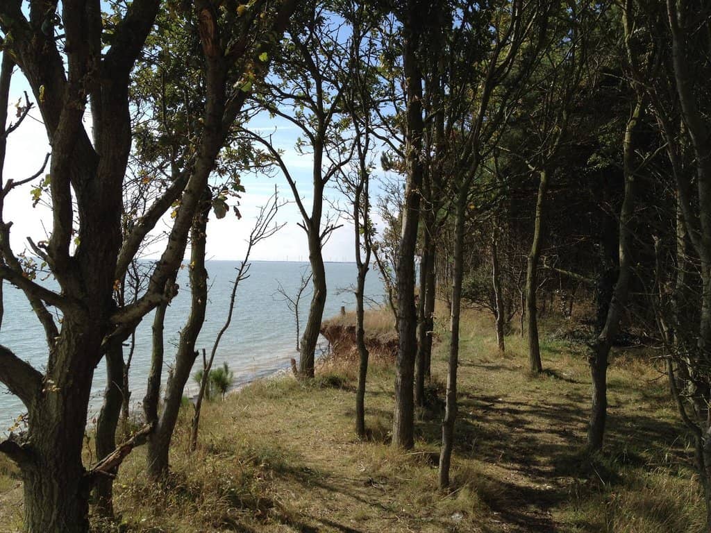 Children's Play Area