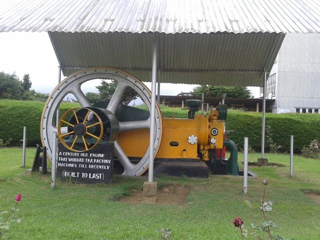 Lush Tea Plantations