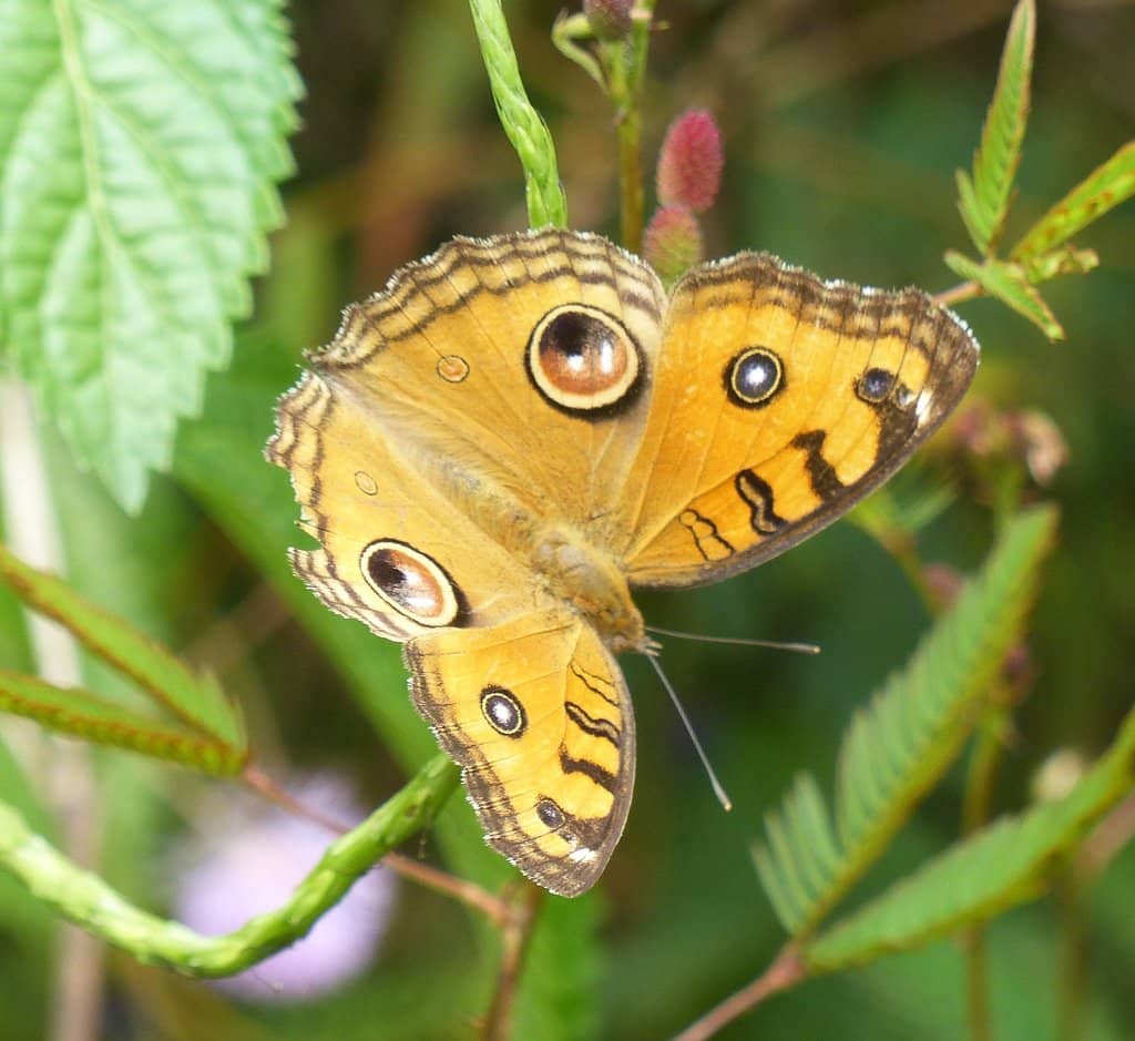 Educational Guided Tours