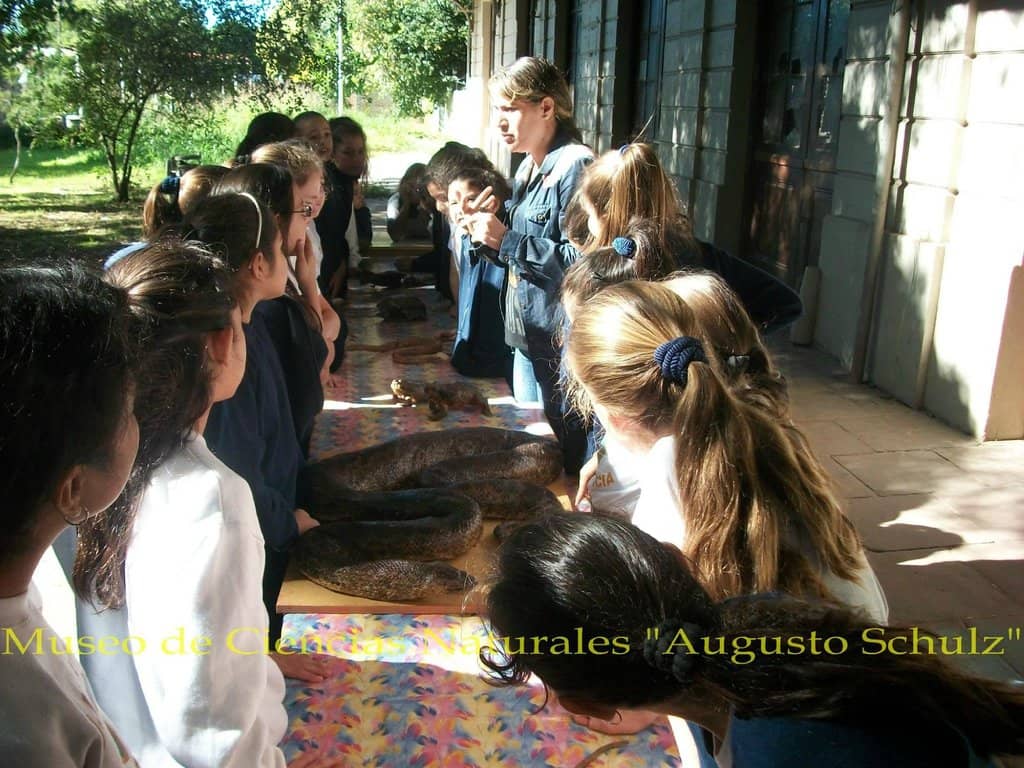 Guided Tours