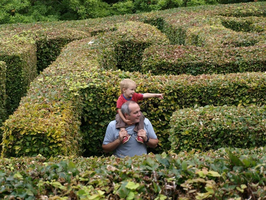 The Animatronic Wonders