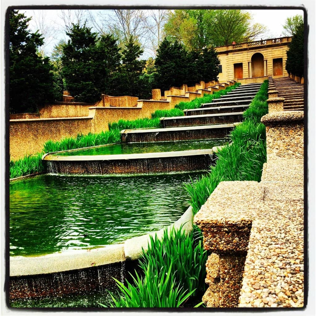 Vibrant Flower Nurseries