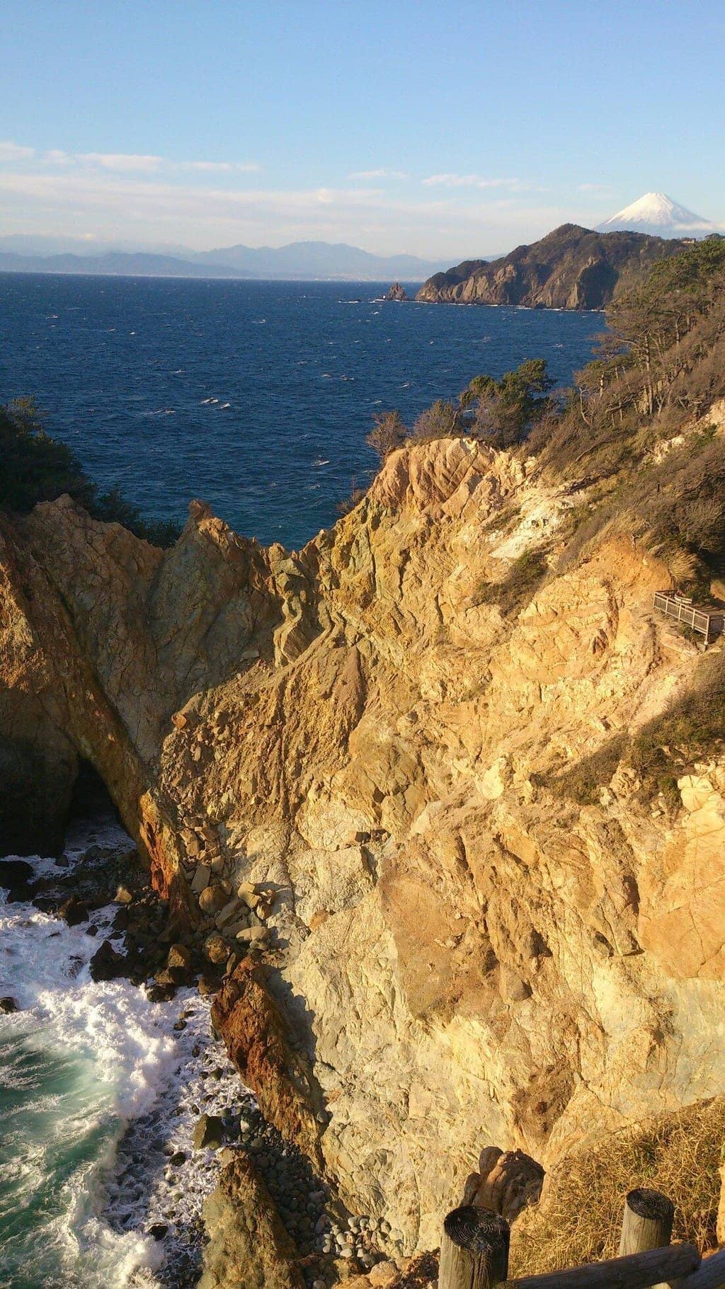 Vertical photo