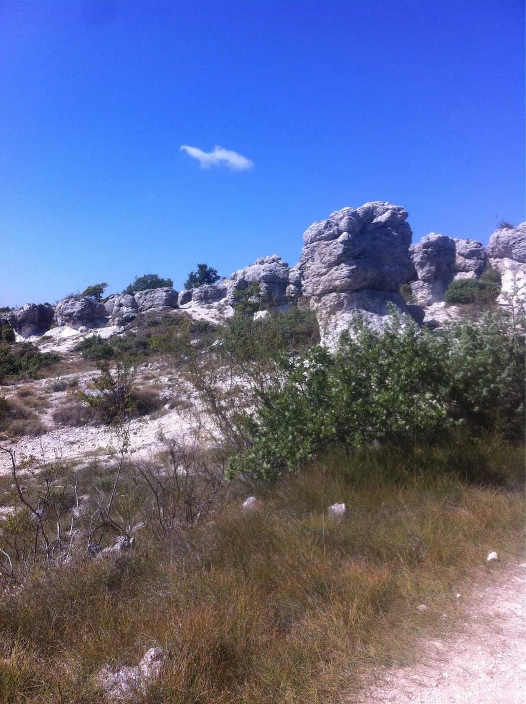 Vertical photo
